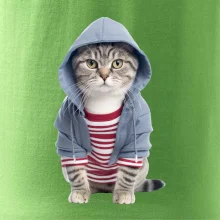 Kočka v pruhovaném triku