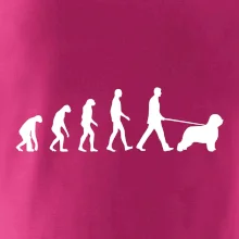 Evoluce pes Briard Evoluce pes Briard