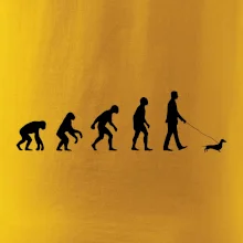 Jezevčík Evoluce muž Jezevčík Evoluce muž
