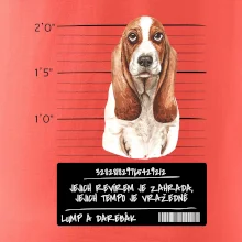 Baset - lump a darebák