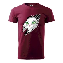 Kočka v roztrženém triku