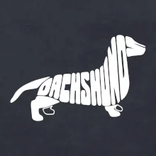 Jezevčík - Dachshund