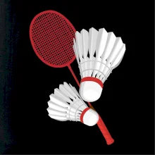 Badminton - pálka a košík