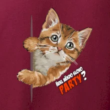 Řekl někdo slovo party