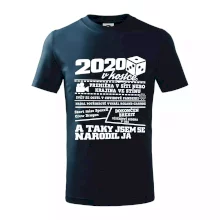 2020 v kostce