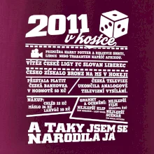 2011 v kostce