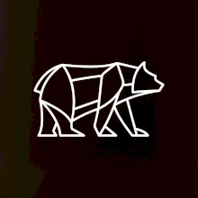 Geometrie lední medvěd chodící