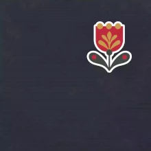 Folklor na prsu tulipán