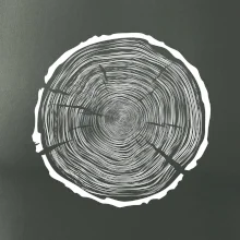 Letokruhy 100 bez věku