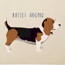 Basset hound pes s nápisem