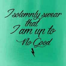I solemnly swear that I'm up to no good