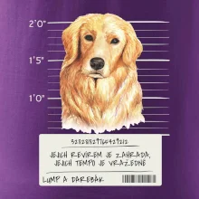 Lump a darebák zlatý retrívr