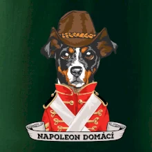 Napoleon domácí pes kříženec