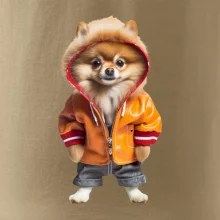 Pomeranian v bundě