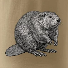 Zvířata Šumavy – Bobr evropský