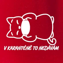 V karanténě to nedávám