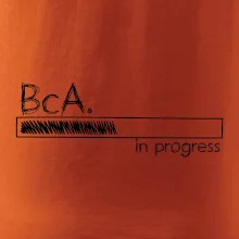 In progress  titul BcA. bakalář / bakalářka umění