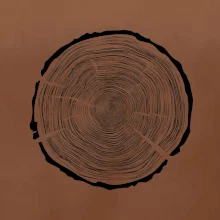 Letokruhy 100 bez věku