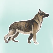 Německý ovčák - hnědý kreslený