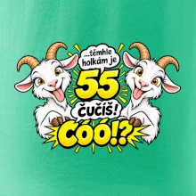 Těmhle holkám je 55, čučíš co?