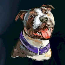 Americký stafordširský teriér  kreslený