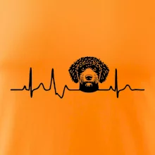 Lagotto romagnolo hlava EKG