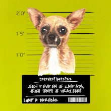 Lump a darebák čivava