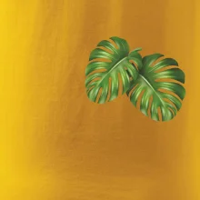 Monstera listy na prsu Monstera listy na prsu