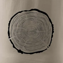 Letokruhy 65 bez věku