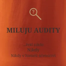 Miluju audity řekl nikdo nikdy