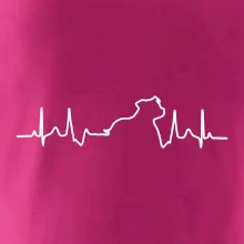 Stafordšírsky bulteriér EKG