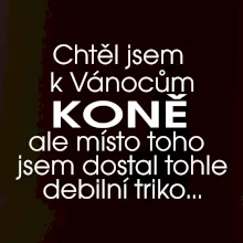 Chtěl jsem dostat k Vánocům koně