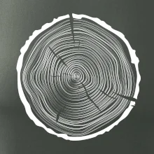 Letokruhy 50 bez věku