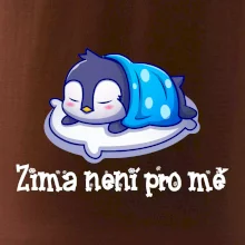 Zima není pro mě