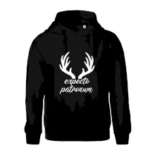 Harry - Expecto patronum Harry - Expecto patronum