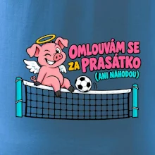 Nohejbalové prasátko na síti