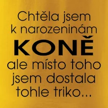 Chtěla jsem dostat k narozeninám koně