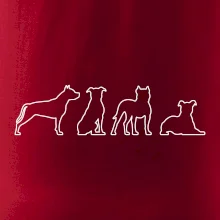 Americký stafordširský teriér v různých pozicích