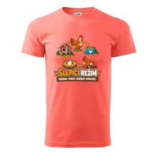 Slepičí režim od krmení po sběr vajec
