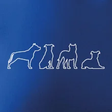 Americký stafordširský teriér v různých pozicích