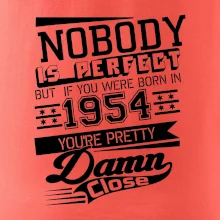 Nobody is perfect - 1954