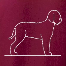 Lagotto romagnolo stojící