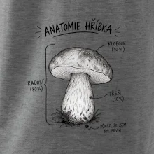 Anatomie hříbka