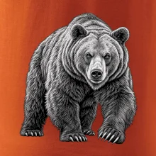 zvířata Beskyd - medvěd hnědý