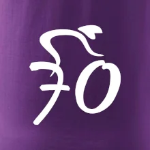 Cyklista slaví sedmdesátku (70)