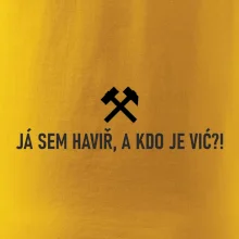 JÁ SEM HAVIŘ, A KDO JE VIĆ?!﻿