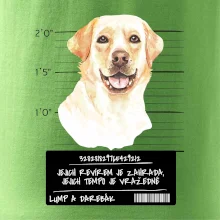 Lump a darebák labrador