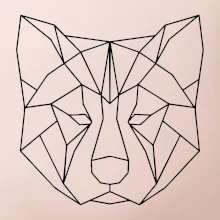 Akita Inu - Geometrie