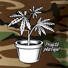 Konopi prostě pěstuju