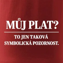 Můj plat? to jen taková symbolická pozornost
